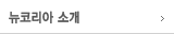 뉴코리아 국제특허, 법률, 소송, 라이센스 사무소